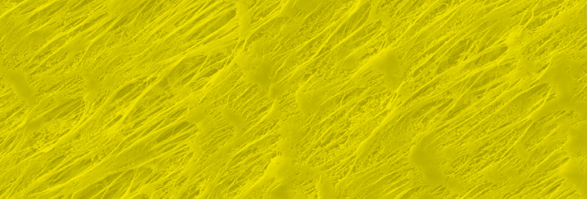 Engineered Components Yellow Banner